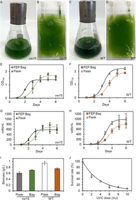 Competitive Growth Assay of Mutagenized Chlamydomonas reinhardtii Compatible With the International <mark class="highlighted">Space Station</mark> Veggie Plant Growth Chamber